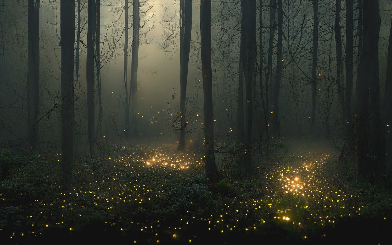 lights like fireflies in a dark, foggy forest, in the air and as if falling on the forest floor