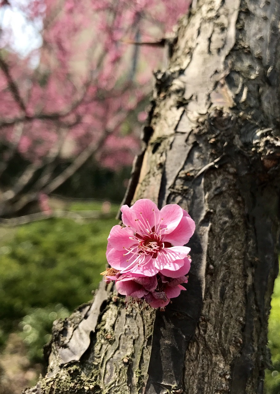 Hurrying, Before the Rain - Poetry, Prose, Life, The Works